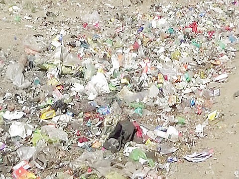 नगर : गुंजाळवाडीतील उपनगरांना कचर्‍याचा विळखा ; घाणीमुळे पसरली दुर्गंधी
