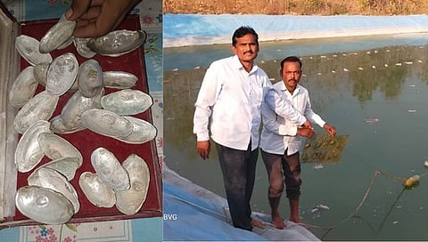 नांदेड : शेल्लाळी येथील शेतकर्‍याने पिकवला पडीक जमिनीत शिंपला मोती; वर्षभरात १४ लाखांचे उत्पन्न