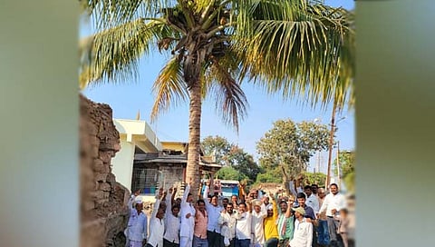 मराठवाडा - नारळ झाडाचे दुसऱ्या जागी रोपन करण्यात आले 