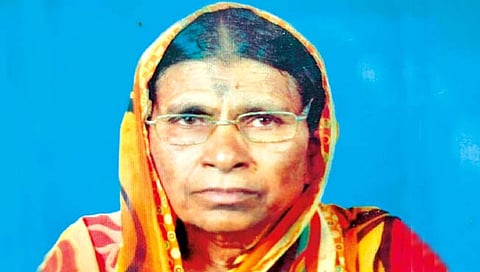 कोल्हापूर : भटक्या कुत्र्यांच्या हल्ल्यात वृद्धेचा मृत्यू