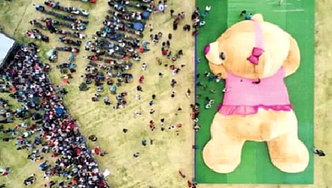 Teddy Bear