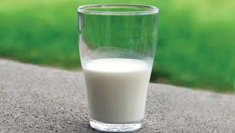 Cold Milk Benefits 