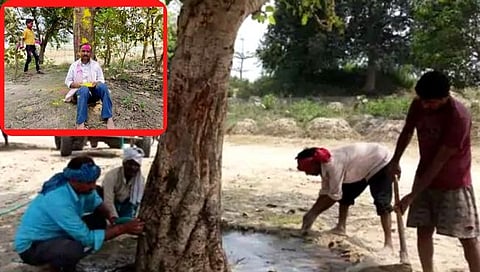 Gajendra Yadav : निसर्गाशी बांधली ‘लगीनगाठ’, तब्बल ८ लाख झाडांचा झाला ‘बाप’ ! 