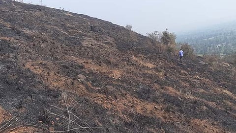 लक्ष्मी टेक डोंगराला वणवा  