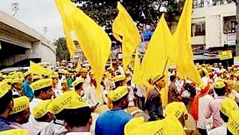 राज्यात धनगड समाज आहे की नाही ? :  हायकोर्ट