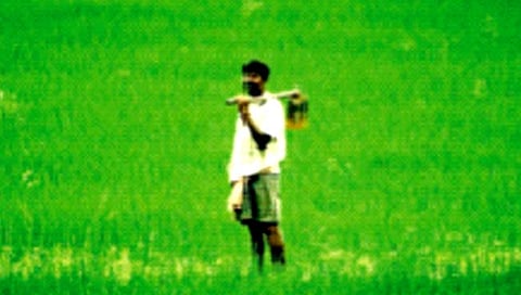 रत्नागिरी : बारा हजार शेतकर्‍यांना प्रोत्साहनपर अनुदानाचा लाभ