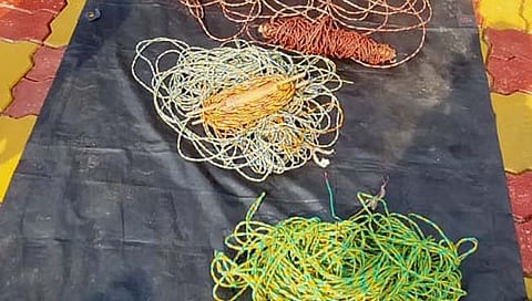 गडचिरोली : नक्षल्यांनी पुरुन ठेवलेली शक्तीशाली स्फोटके जप्त