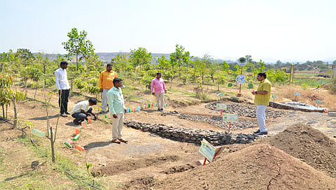 नाशिक : डोंगरावरील पाण्याचे व्यवस्थापन करण्यासाठी करण्यात आलेले चारी खोदकाम. (छाया: हेमंत घाेरपडे) 
