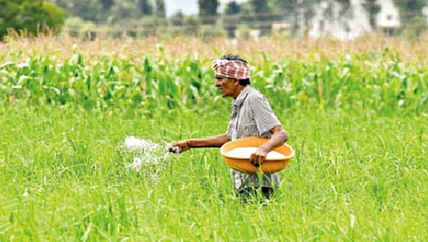 कोल्हापूर : जिल्ह्यात खतांचे लिंकिंग; शेतकर्‍यांची राजरोस लूट !