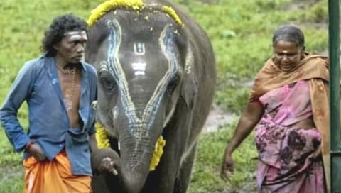 ऑस्कर पुरस्कार  