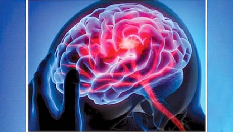 Human brain temperature 