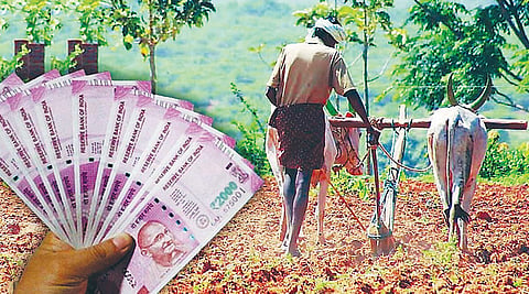 पुणे : जिल्ह्याला ‘पीएम किसान’मधून मिळणार 536 कोटी