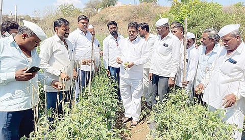 संगमनेर : सरकारकडून शेतकर्‍यांना मदत मिळवून देऊ : खा. सदाशिव लोखंडे