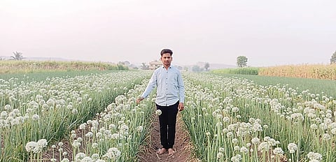 लोणी धामणी : शेतात कांदा बीजोत्पादन; कृषी पदवीधर जयेश वाळुंज यांचा अनोखा प्रयोग