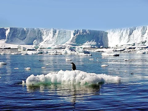 Antarctica 