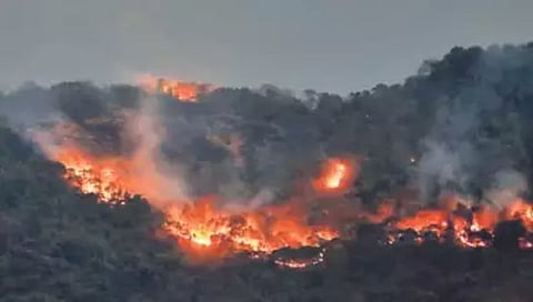 Goa Forest Fire 