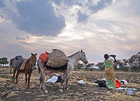 तांडावस्तीची नोंद विभागाकडेच नाही ! अपुर्‍या निधीमुळे तांडावस्ती सुधारणेस खीळ