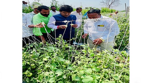 देवळाली कॅम्प : अवकाळी पावसामुळे नुकसानग्रस्त भागाची पाहणी करताना खा. हेमंत गोडसे. समवेत शेतकरी वर्ग. (छाया : संजय निकम).  