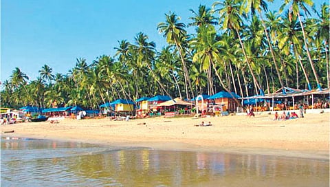 Beach Shacks : कोकणातील आठ किनार्‍यांवर बीच शॅक्स