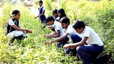 तिसरी ते बारावीच्या अभ्यासक्रमात आता कृषीचे पाठ;  विद्यार्थ्यांना मिळणार शेतीचे धडे