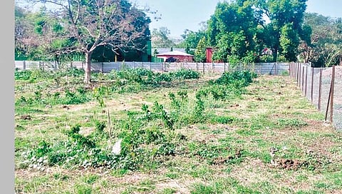 सातारा : वाईच्या कचरा डेपोत ‘ऑक्सिजन पार्क’ची निर्मिती