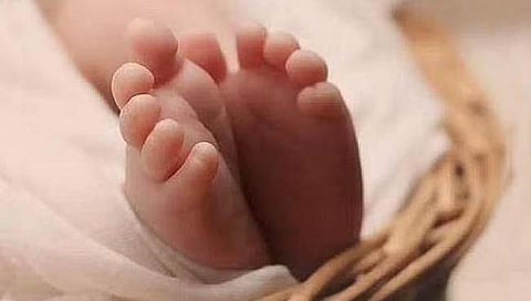 चंद्रपूर: भद्रावतीत नवजात अर्भक आढळल्याने खळबळ