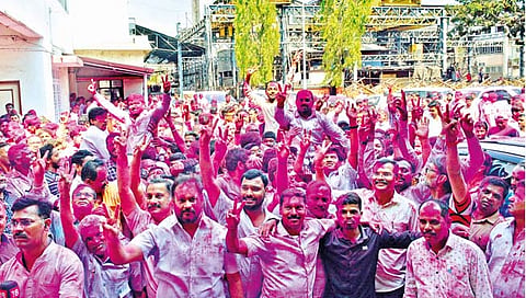 महाडिक समर्थकांचा जल्लोष