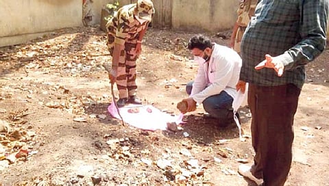 कोल्हापूर : सीपीआर रुग्णालयाच्या आवारात कुत्र्यांनी दोन अर्भकांचे लचके तोडलेल्या शवविच्छेदन कक्षाजवळील घटनास्थळाची वैद्यकीय अधिकार्‍यांसह पोलिस अधिकार्‍यांनी पाहणी केली