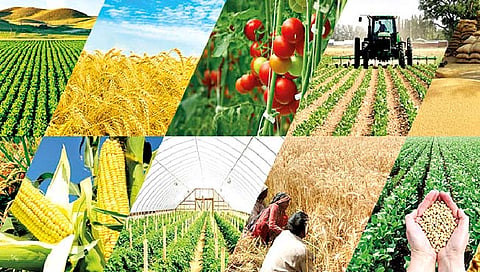World Environment Day |
