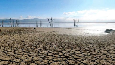 Water scarcity 