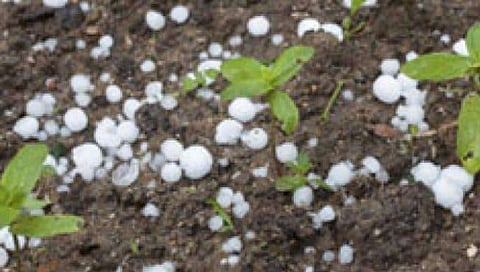 Thunderstorm & Hail