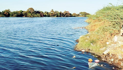 राज्यात नद्यांची स्थिती गंभीर : डॉ राजेंद्र सिंह