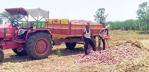 पिंपरखेड : कवडीमोल दरामुळे कांदा उत्पादक संकटात