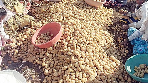 Pune Market Update