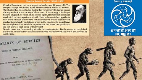 ncert