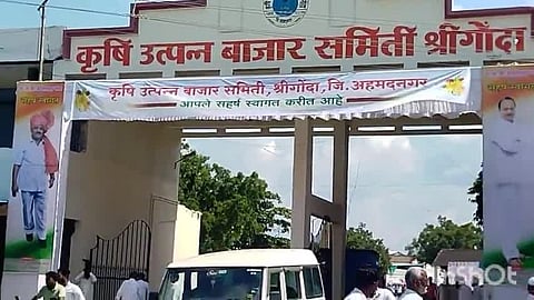 श्रीगोंदा बाजार समिती : राष्ट्रवादीचे माजी आ. राहुल जगताप यांचा पॅनल आघाडीवर