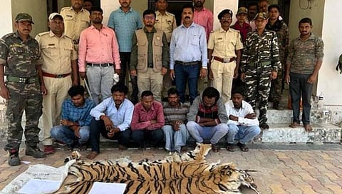 वाघाच्या कातडीची तस्करी 