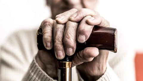 Senior artists |