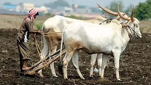 जळगाव : नवीन कायदे केल्यानंतर शेतकऱ्यांनी शेती कशी करावी? रघुनाथ पाटील यांचा सवाल