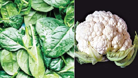 vegetables 