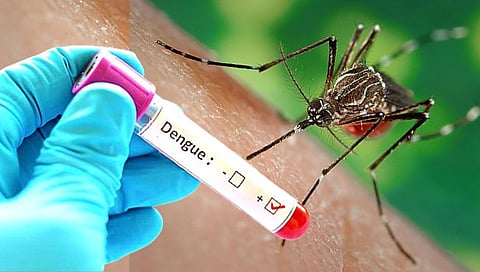 Dengue In Parbhani : जिंतुर तालुक्यातील ‘या’ गावात डेंगूचे थैमान; एक वर्षाच्या बालकाचा मृत्यू
