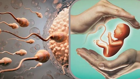 IVF Treatment 