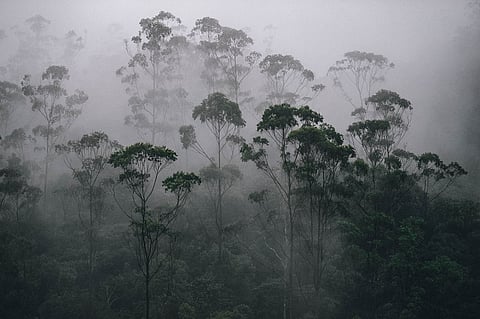Monsoon update | राज्यातील ‘या’ भागांत अतिमुसळधारेचा इशारा, पुराची शक्यता