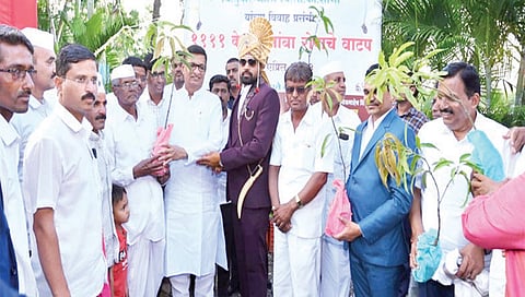 नांदूरशिंगोटे : विवाहसोहळ्यात गिते परिवाराच्या वतीने वर्‍हाडी मंडळींना केशरी आंब्याचे रोपटे वाटप करताना माजी महसूलमंत्री बाळासाहेब थोरात.