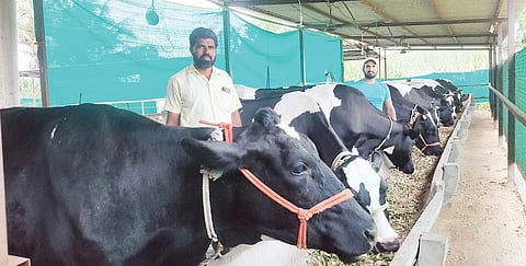 कुसेगावच्या शेतकर्‍याने दूध व्यवसायातून साधली प्रगती