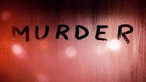 Pune Murder Case : पुण्यात खळबळ ! वानवडीत तरुणाचा दगडाने ठेचून खून