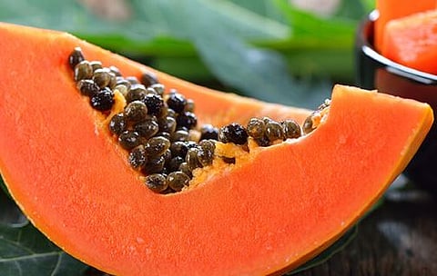 papaya