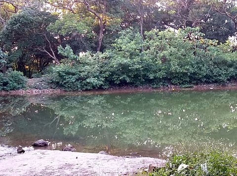 वाघझरा 