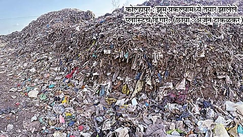 प्लास्टिकचा विळखा 
