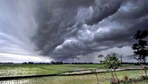 मान्सूनचा सांगावा  